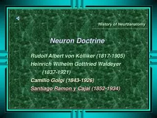Neuron Doctrine Rudolf Albert von Kölliker (1817-1905) Heinrich Wilhelm Gottfried Waldeyer (1837-1921) Camilio