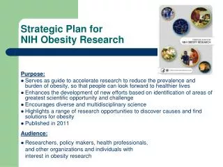 Strategic Plan for NIH Obesity Research