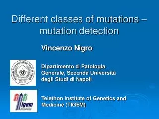 Different classes of mutations – mutation detection