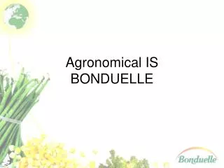 Agronomical IS BONDUELLE