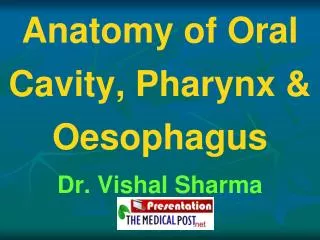 Anatomy of Oral Cavity, Pharynx &amp; Oesophagus