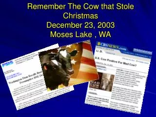 Remember The Cow that Stole Christmas December 23, 2003 Moses Lake , WA