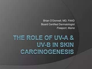 The Role of UV-A &amp; UV-B in Skin Carcinogenesis
