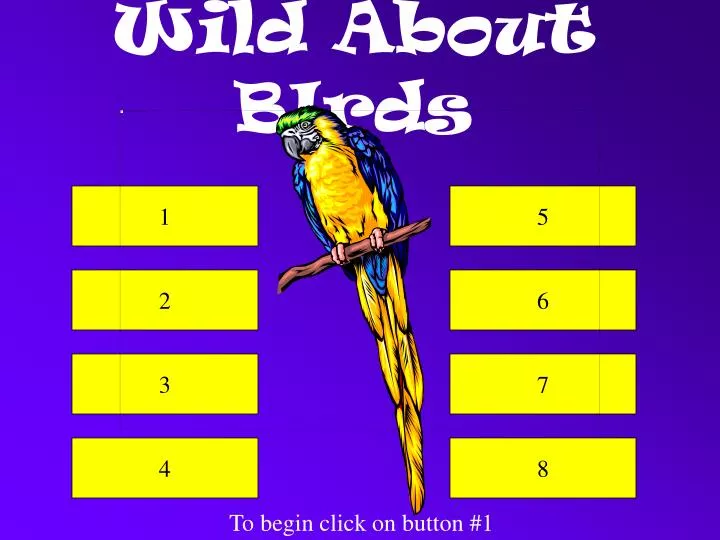wild about birds
