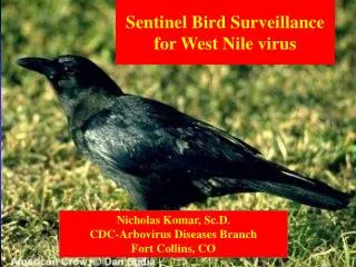 Sentinel Bird Surveillance for West Nile virus