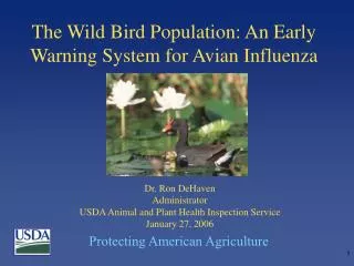 The Wild Bird Population: An Early Warning System for Avian Influenza