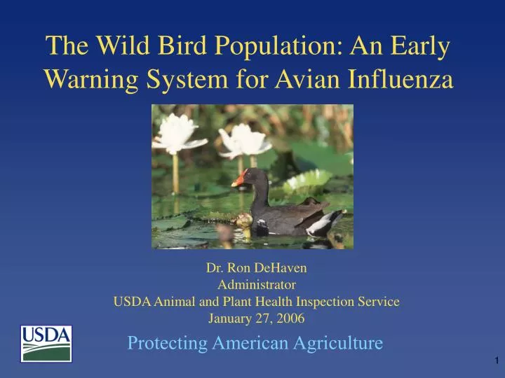the wild bird population an early warning system for avian influenza