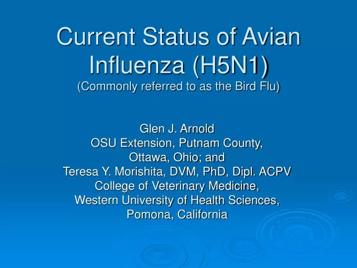 current status of avian influenza h5n1 commonly referred to as the bird flu