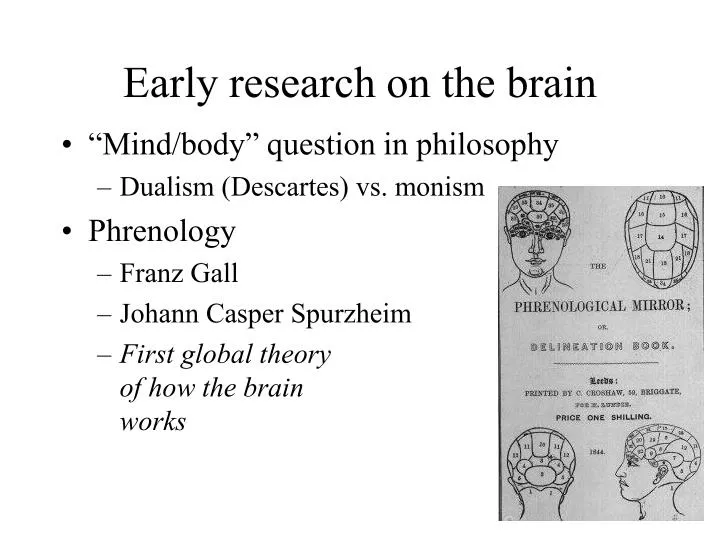 early research on the brain
