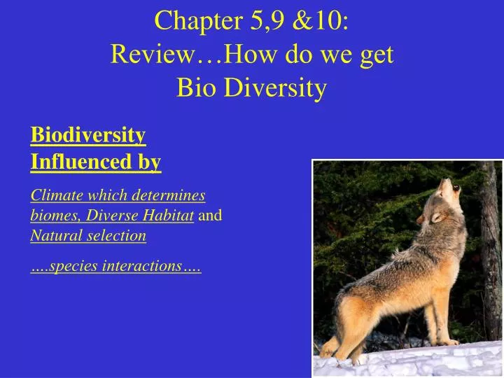 chapter 5 9 10 review how do we get bio diversity