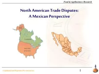 North American Trade Disputes: A Mexican Perspective