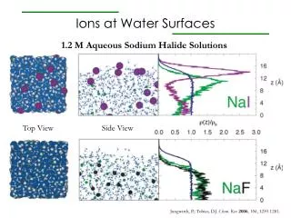 Ions at Water Surfaces