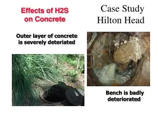 Case Study Hilton Head