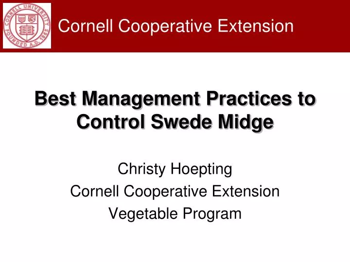 best management practices to control swede midge