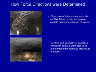 How Force Directions were Determined