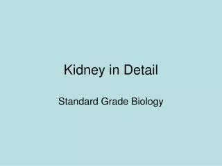 Kidney in Detail