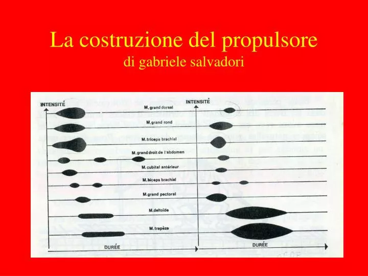 la costruzione del propulsore di gabriele salvadori