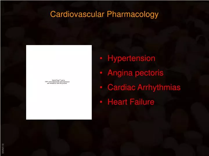 cardiovascular pharmacology