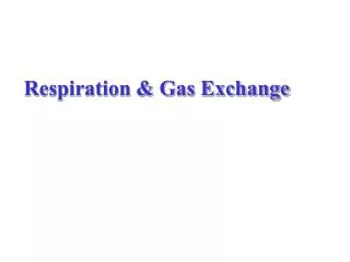 Respiration &amp; Gas Exchange