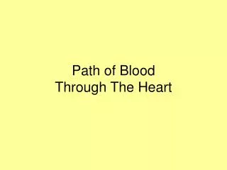 Path of Blood Through The Heart