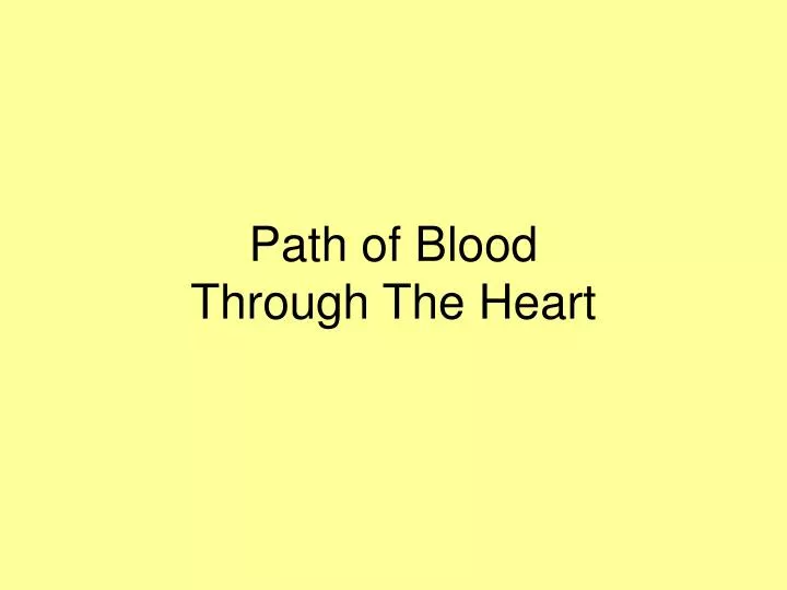 path of blood through the heart