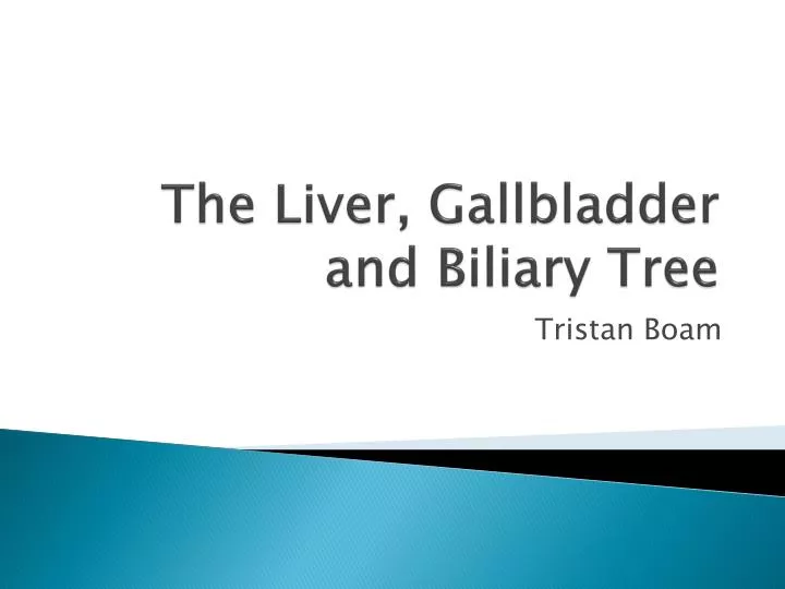 the liver gallbladder and biliary tree