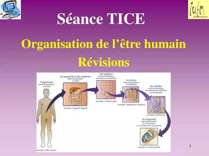 s ance tice