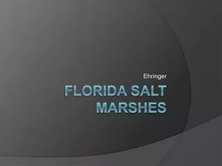 Florida Salt Marshes