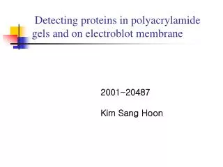 Detecting proteins in polyacrylamide gels and on electroblot membrane