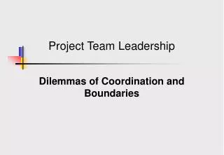 Project Team Leadership