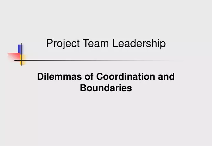 project team leadership