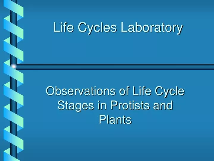 life cycles laboratory