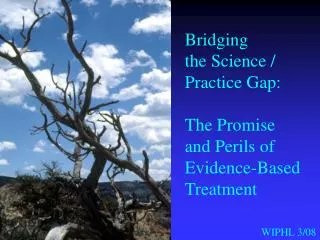 Bridging the Science / Practice Gap: The Promise and Perils of Evidence-Based Treatment