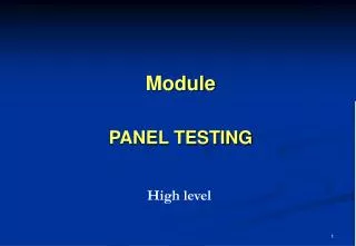 Module PANEL TESTING
