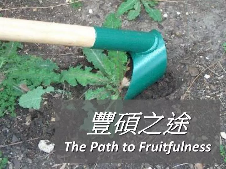 the path to fruitfulness