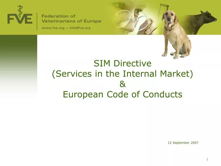 sim directive services in the internal market european code of conducts
