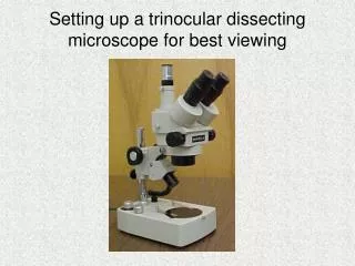 Setting up a trinocular dissecting microscope for best viewing