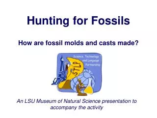 Rebecca - Fossil types