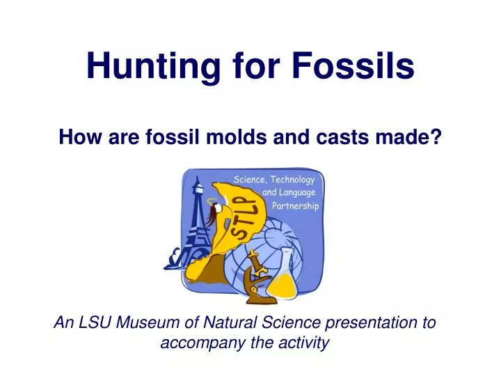 hunting for fossils