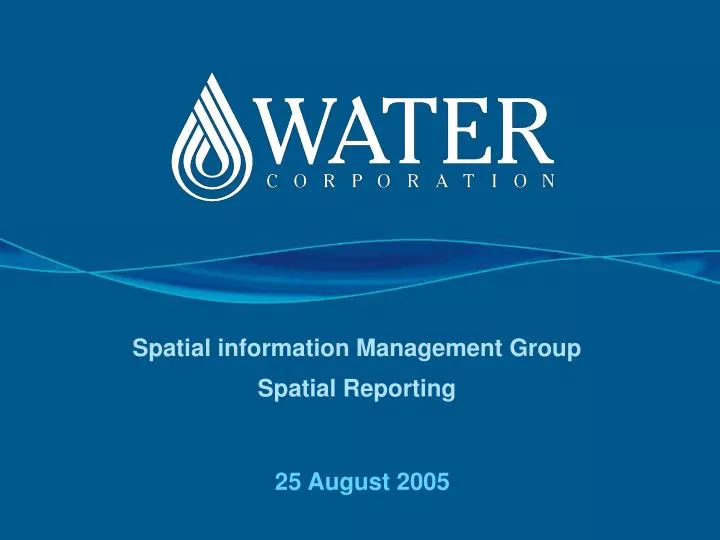 spatial information management group spatial reporting