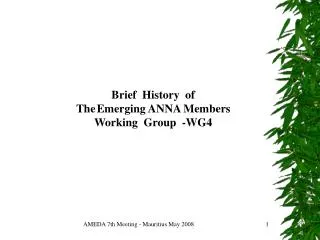 Brief History of The Emerging ANNA Members Working Group -WG4