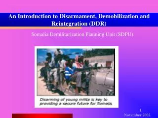 An Introduction to Disarmament, Demobilization and Reintegration (DDR)