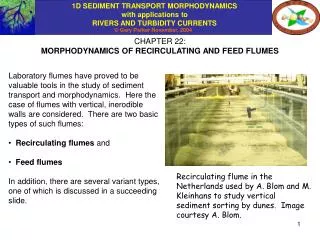CHAPTER 22: MORPHODYNAMICS OF RECIRCULATING AND FEED FLUMES