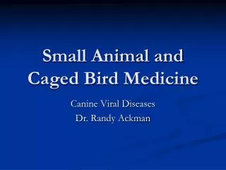 small animal and caged bird medicine