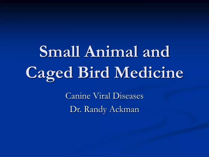 small animal and caged bird medicine