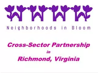 Cross-Sector Partnership in Richmond, Virginia