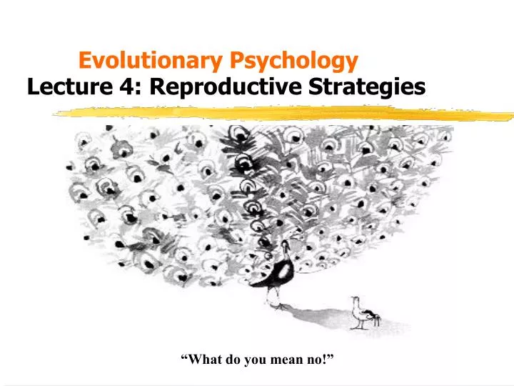 evolutionary psychology lecture 4 reproductive strategies
