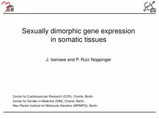 Sexually dimorphic gene expression in somatic tissues