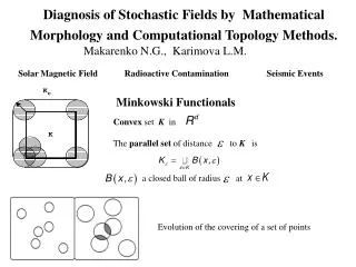 Diagnosis of Stochastic Fields by Mathematical Morphology and Computational Topology Methods.