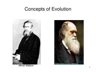 Concepts of Evolution